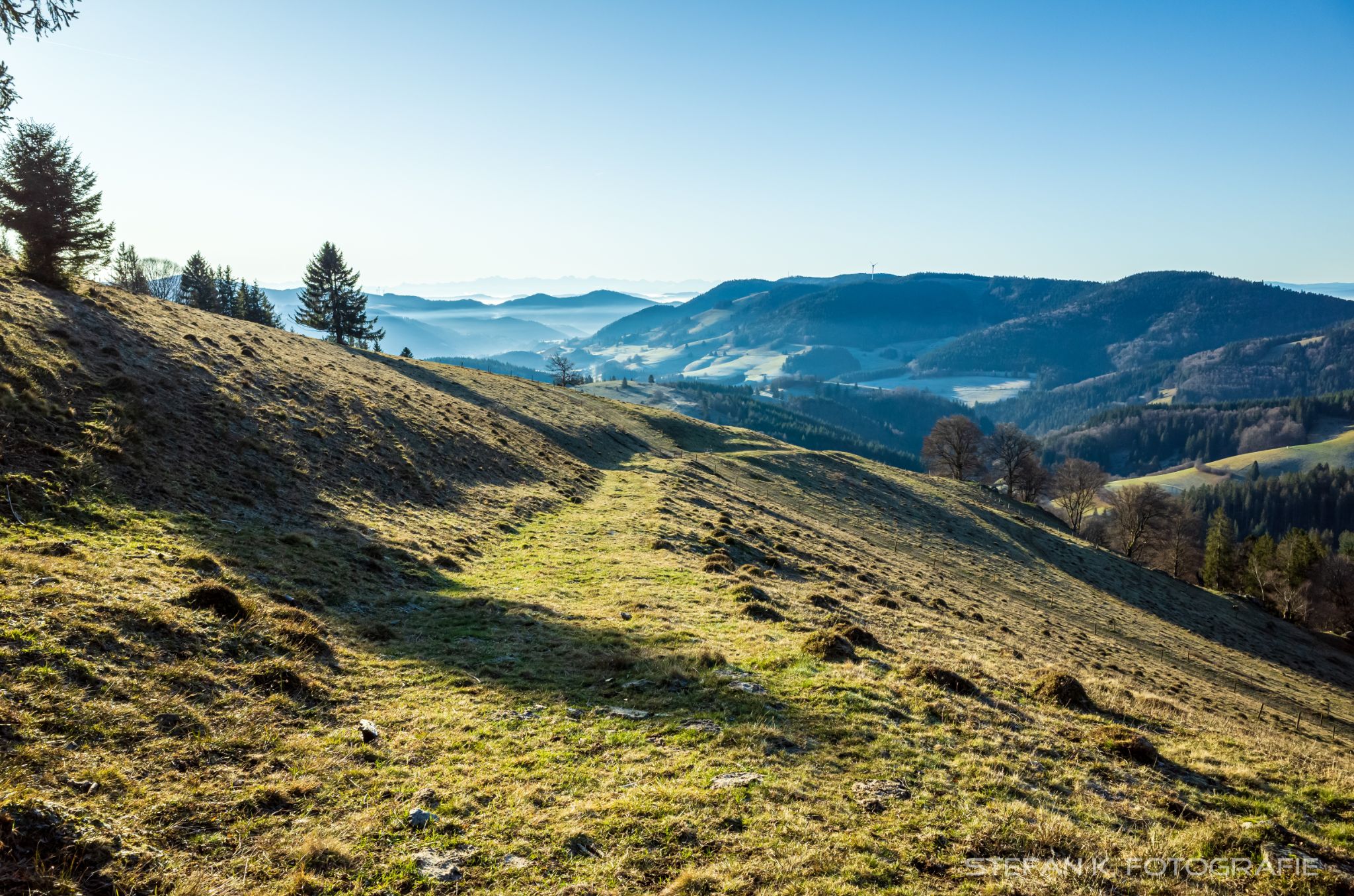 Weidelandschaft zwischen Schönenbuch zum Belchen